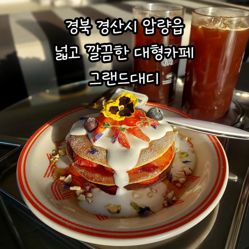 사진 4