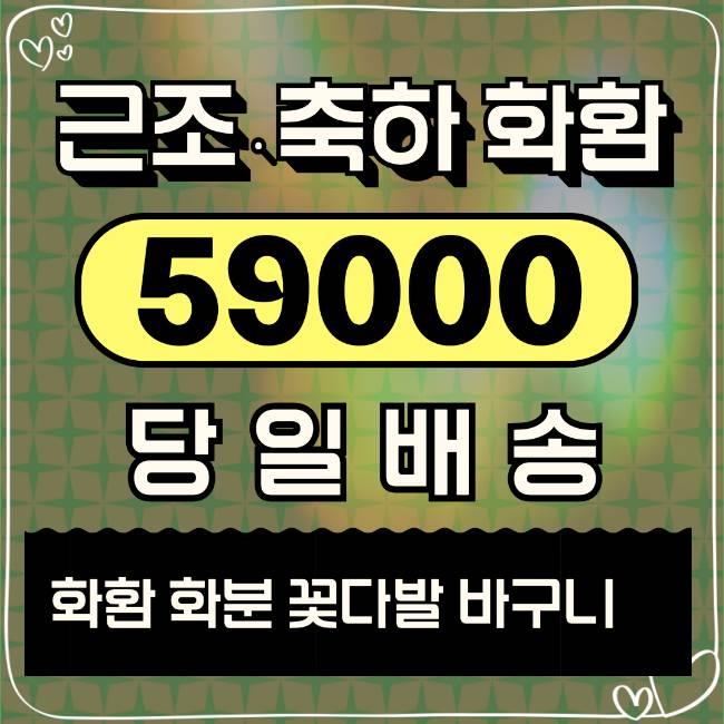  화완 당일 배송 비용 싼곳 근처꽃집 정보드려요.