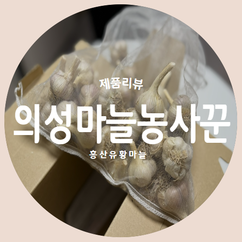  홍산유황마늘 "의성마늘농사꾼" 마늘요리 추천리뷰