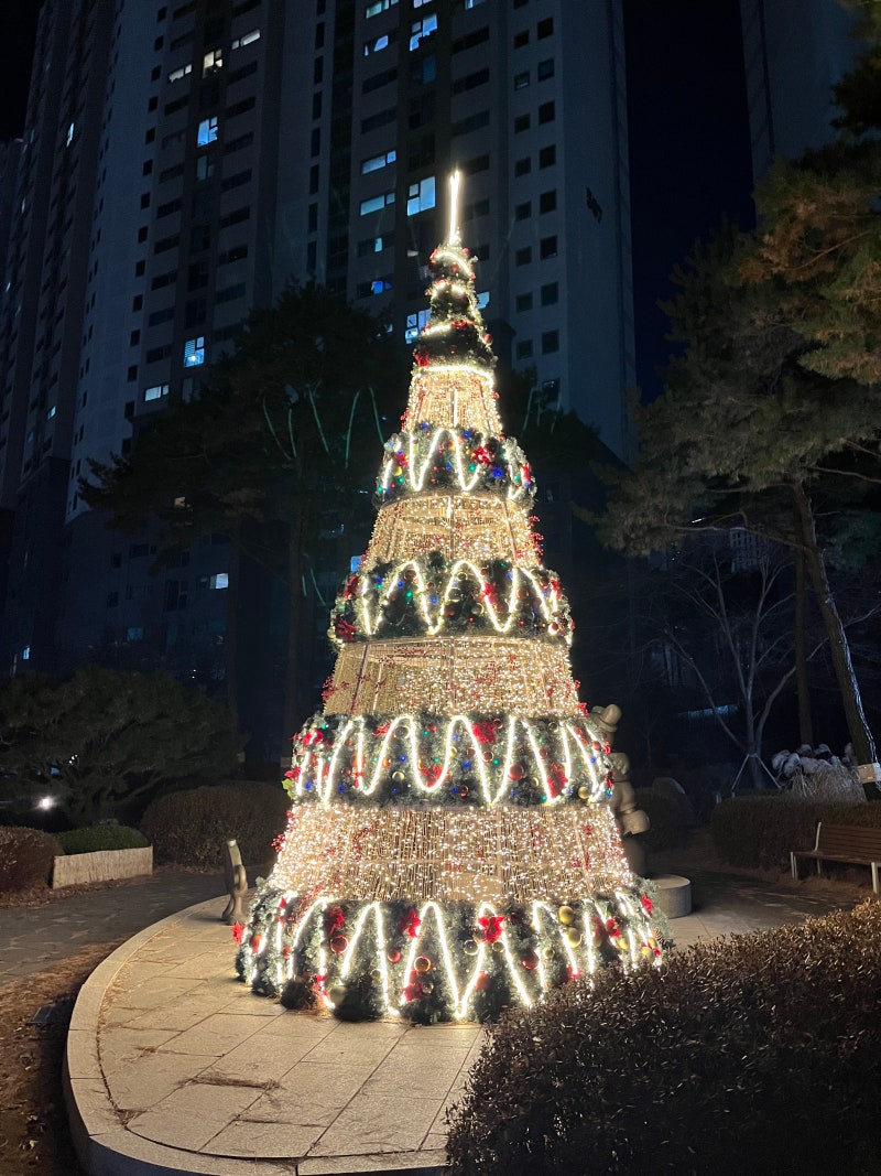 정책지식 2024.12.19. : 네이버 블로그