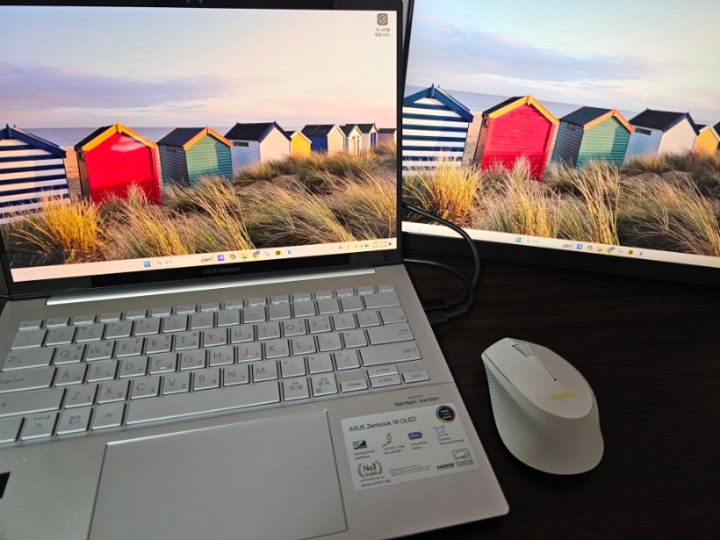 아수스 젠북 14 OLED ASUS 노트북 한달 사용 리뷰