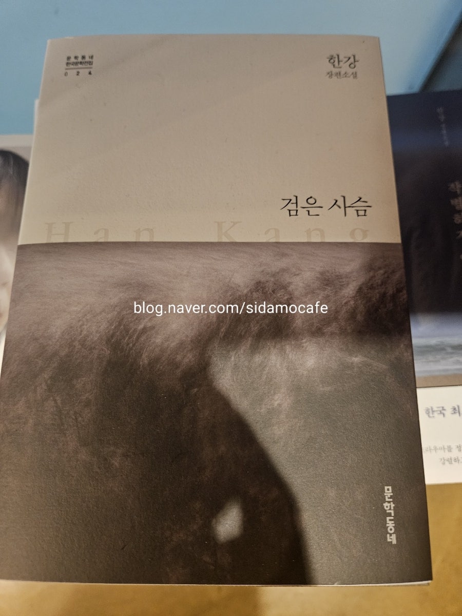 시다모 마포본점 사진 2