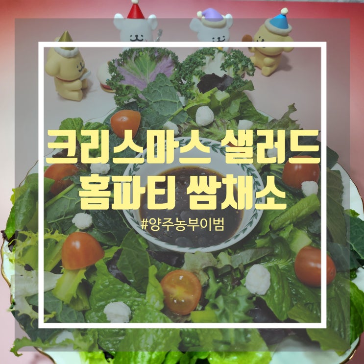 크리스마스 홈파티 음식 - 양주농부이범석 다양한 종류의 샐러드 채소로 리스샐러드 만들기 크리스마스 홈파티 음식 - 양주농부이범석 다양한 종류의 샐러드 채소로 리스샐러드 만들기