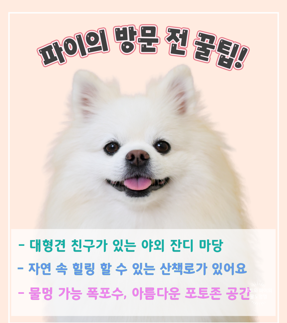 홍카페 사진 2