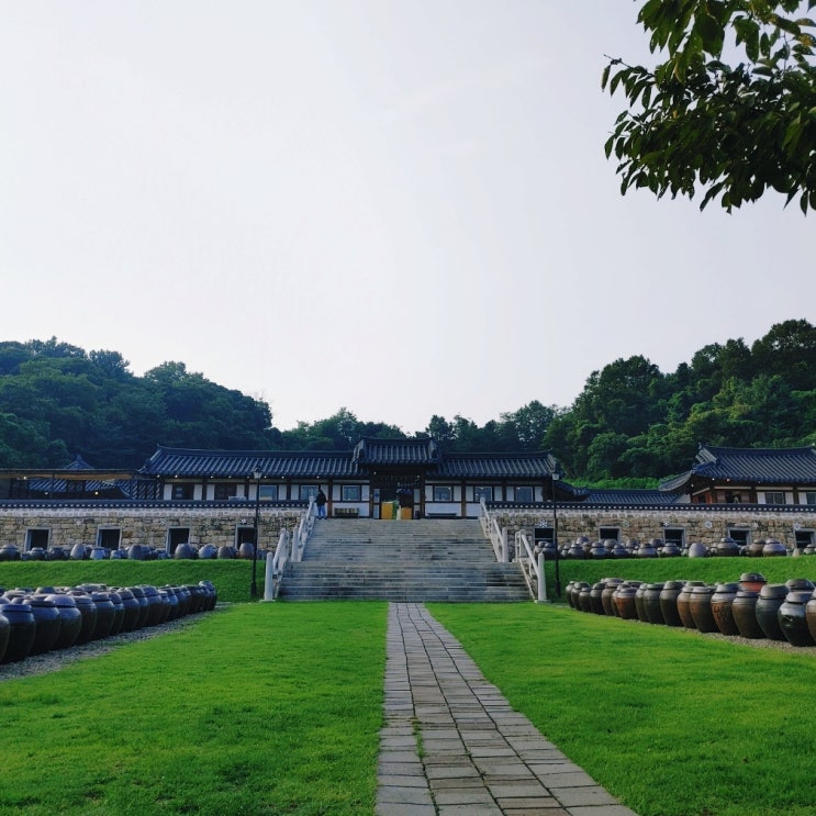  연천 세라비 한옥카페 전통찻집 베이커리 가볼 만한 곳