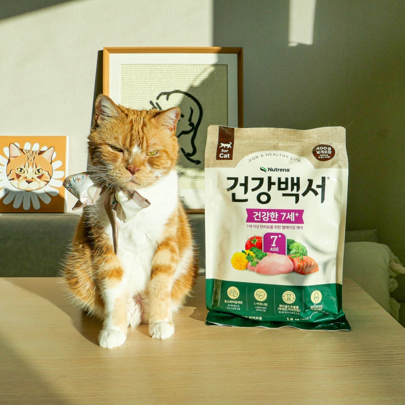고양이 사료 신제품, 건강백서 관절 건강에 좋은 건강한 7세+ : 네이버 블로그