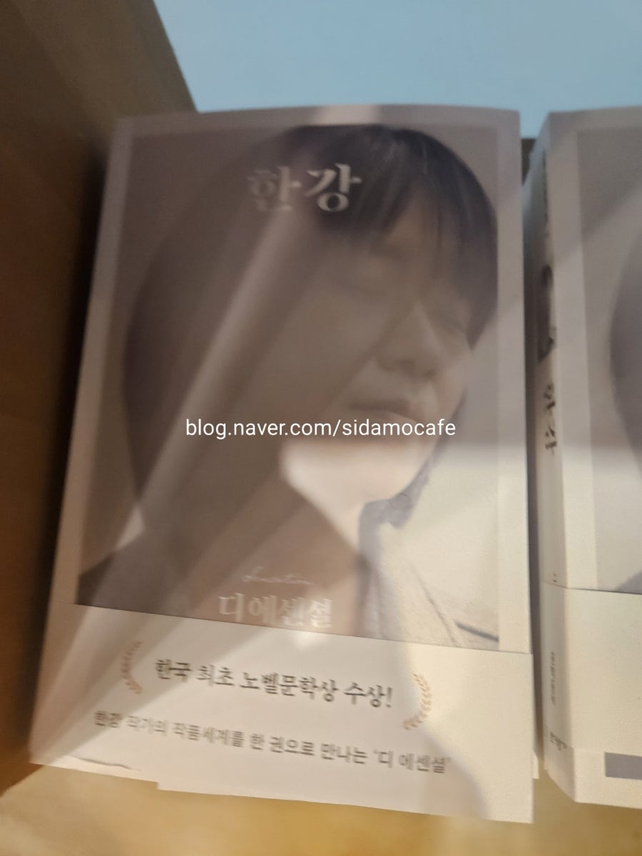 시다모 마포본점 사진 3