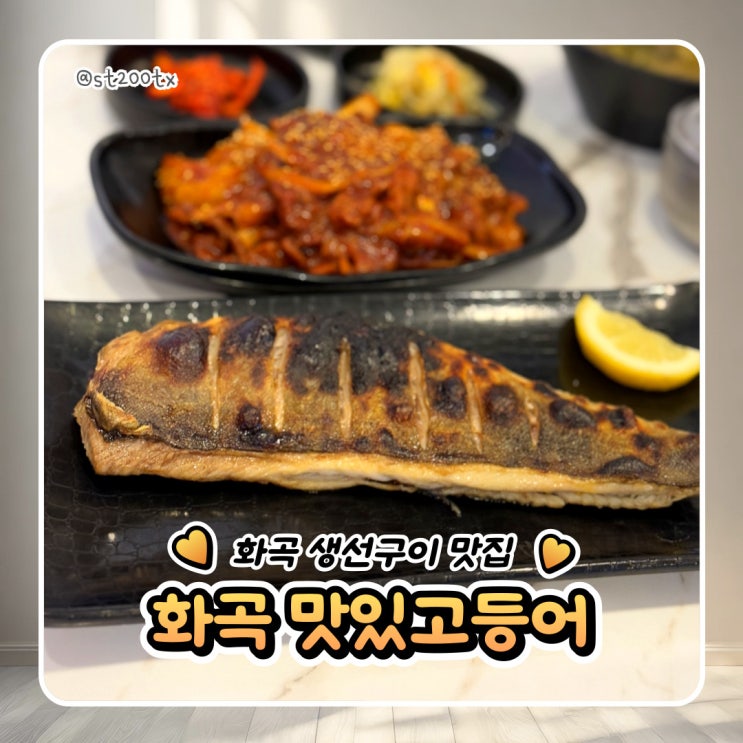  화곡 생선구이 맛집 맛있고등어 내돈내산