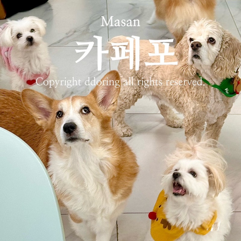 사진 7