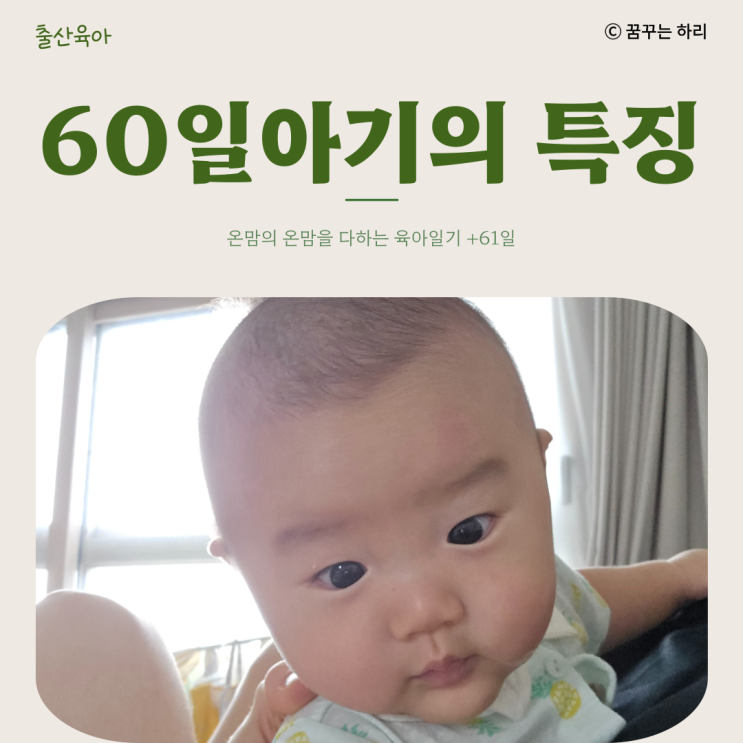  온맘의 육아일기 D+61일 9주차 60일아기의 특징 목가누기 웃음 움직임 소리반응 부모와의교감 감정표현