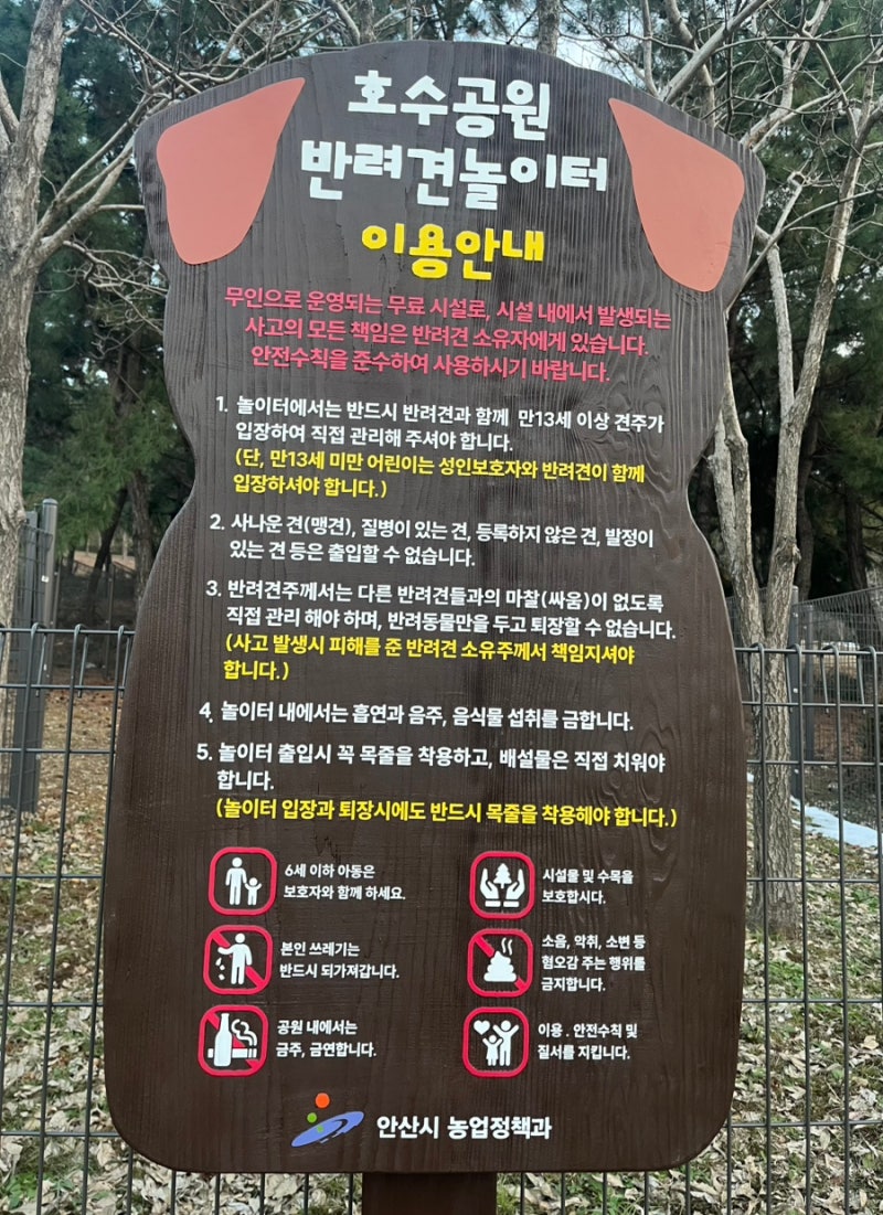 사진 9