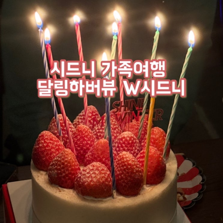 호주가족여행 숙소 W 시드니 하버뷰 호텔 (W Sydney) | 시드니 달링하버 2023년 신상 호텔