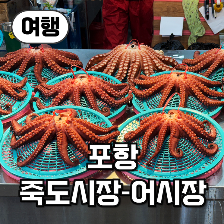  【여행】 한국 최대규모 어시장, 포항 죽도시장을 가다