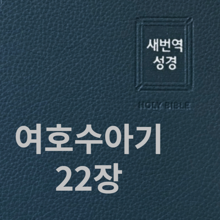여호수아기 22장 여호수아기 22장