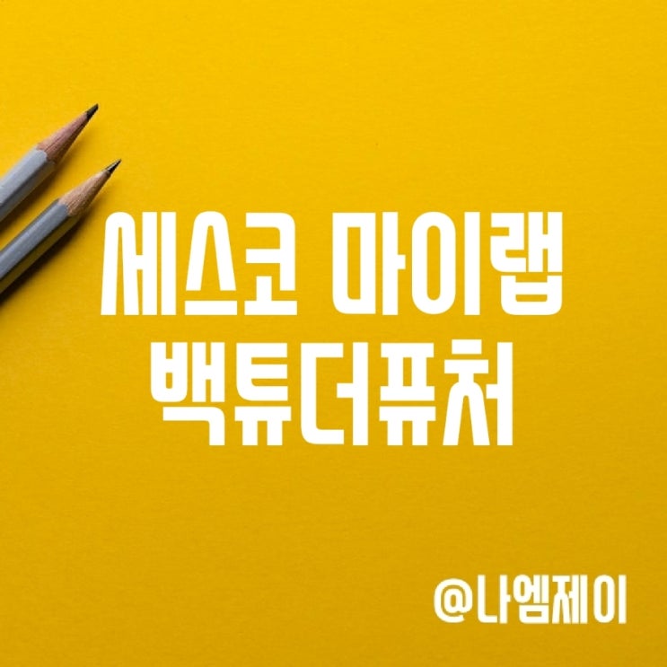  세스코 마이랩 백투더퓨처 캠페인 참여하고 환경기부금 100원 적립하기
