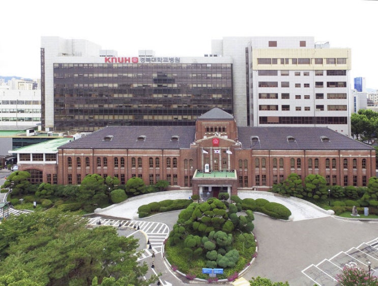  대구부동산전망/경북대병원이전