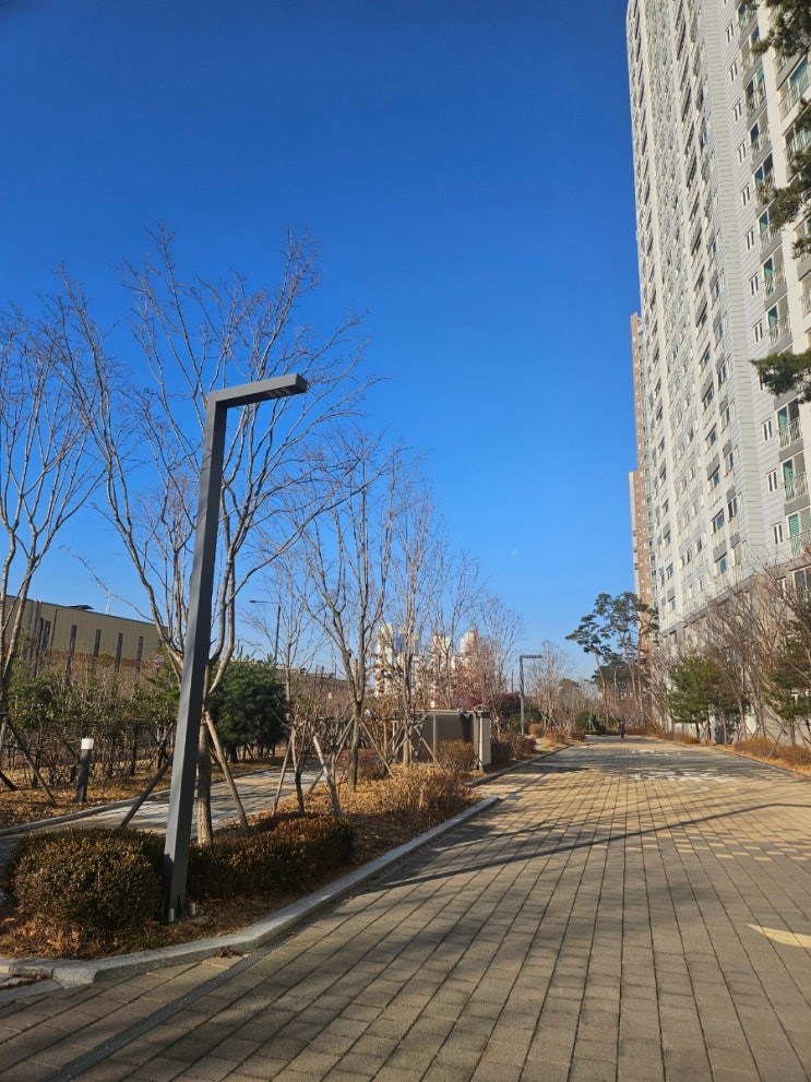  감사일기 519일차