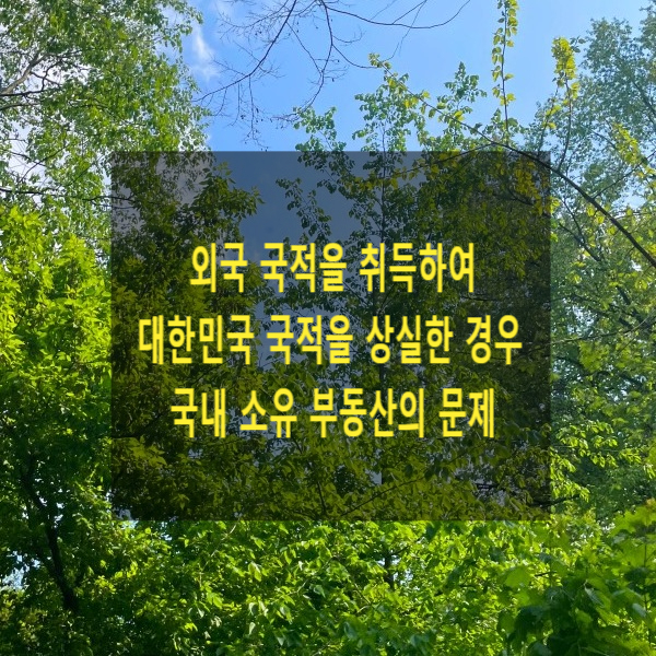  외국 국적을 취득하여 대한민국 국적을 상실한 경우 국내 소유 부동산의 문제(계속보유신고, 과태료, 외국인토지법, 외국인 토지소유)