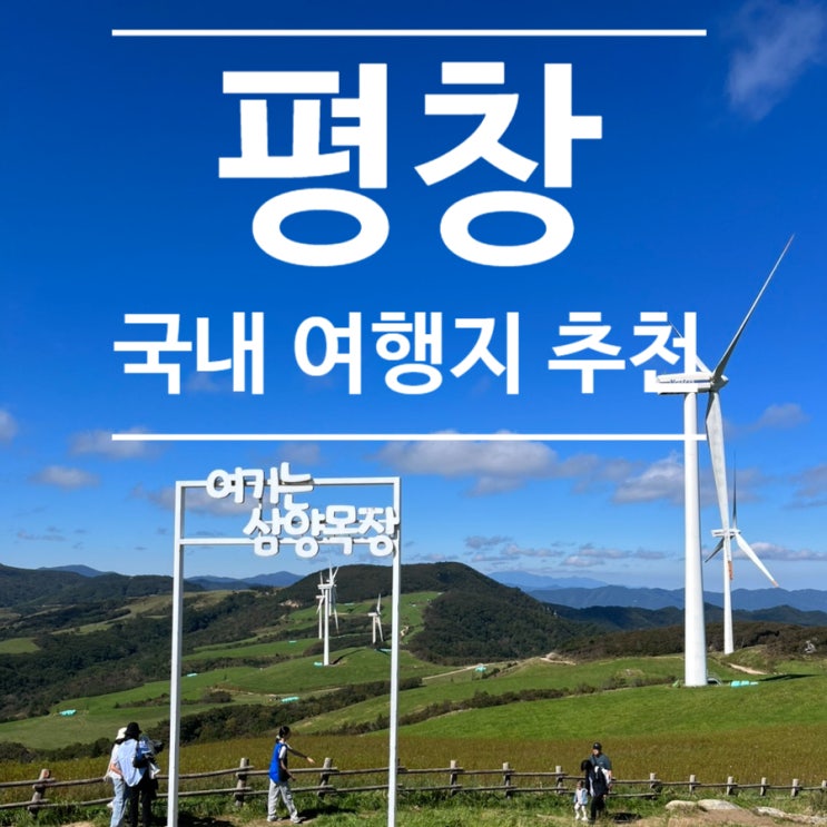  [여행]강원도 평창 2부 (대관령 삼양 양떼 목장, 삼양라운드힐)