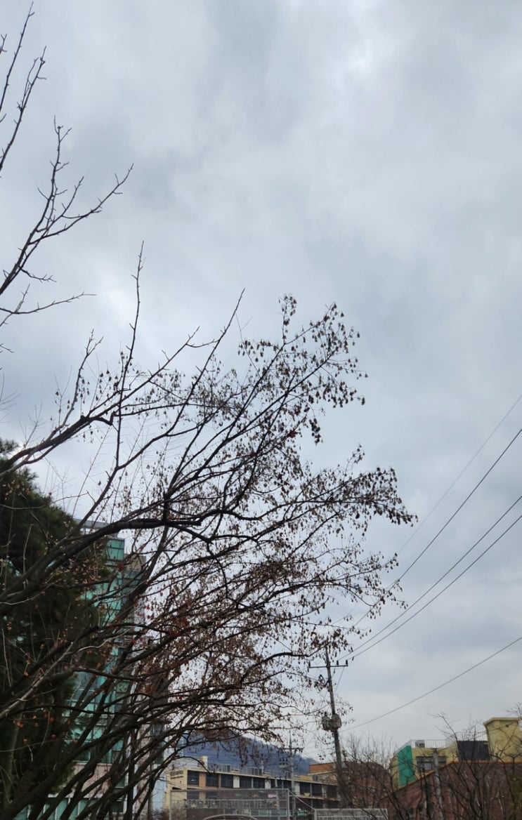  '오늘 미세먼지,날씨'