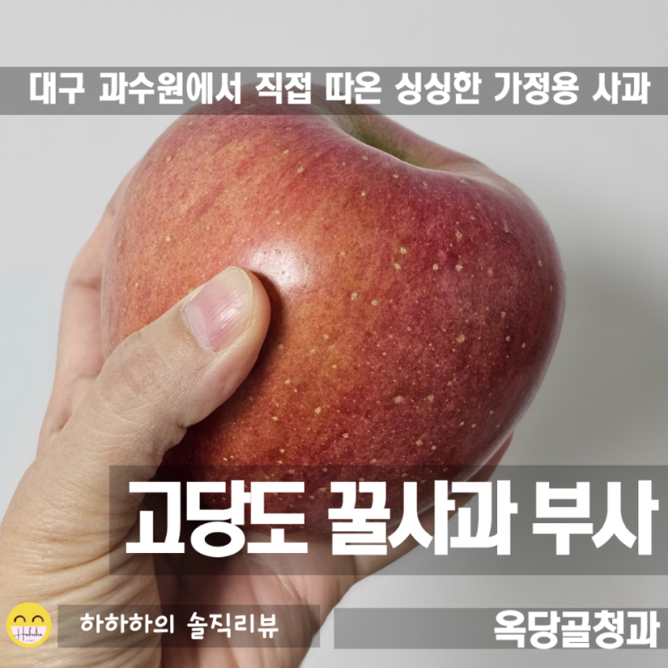  가정용사과5kg 택배로 옥당골청과 가성비과일