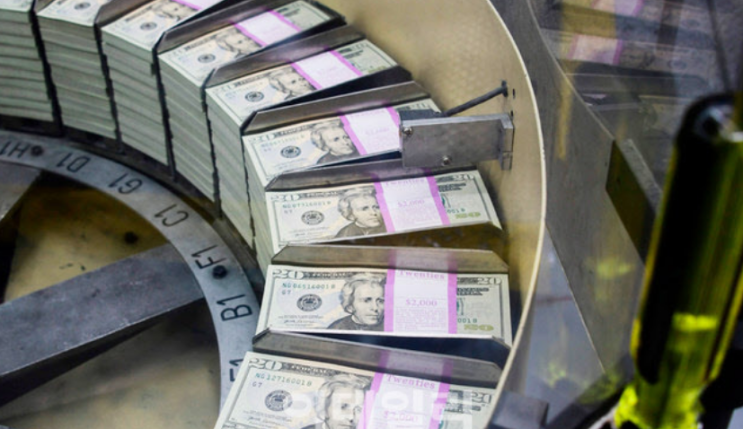  환율 변동성과 정치적 요인, 자칫하면 제2의 IMF?