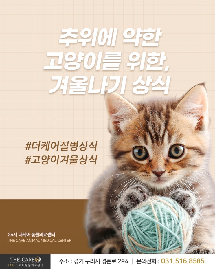  [24시더케어동물의료센터] 추위에 약한 고양이를 위한, 고양이 겨울나기 상식 