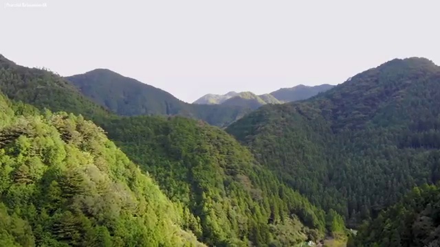  경매물건권리분석 , 부동산권리분석사 준비한 방법 및 무료수강 혜택