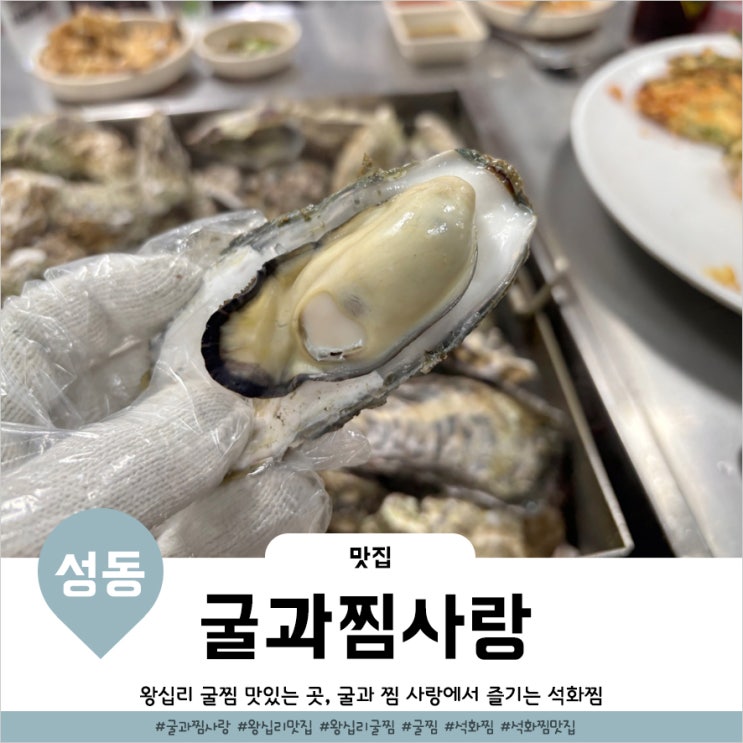  왕십리 굴과찜사랑 웨이팅 극악인 행당동 맛집 후기