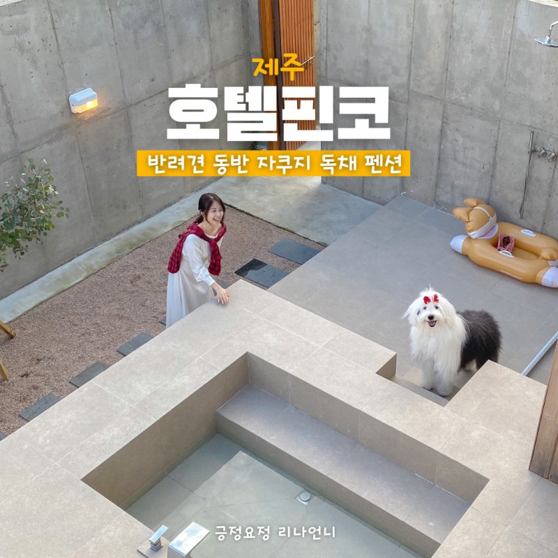 사진 3
