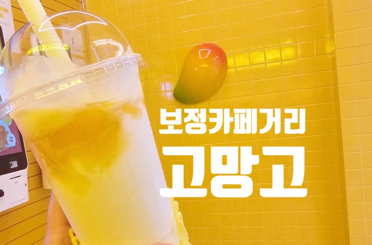  고망고 죽전 보정 카페거리 망고주스 맛집 맛있고 싸다