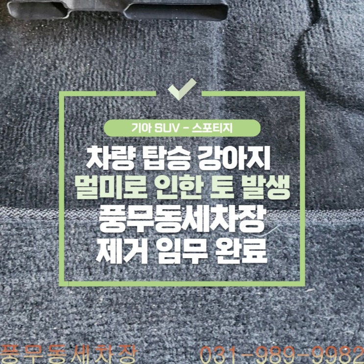  풍무동실내세차, 강아지가 자동차 멀미로 인한 토를 했나요?