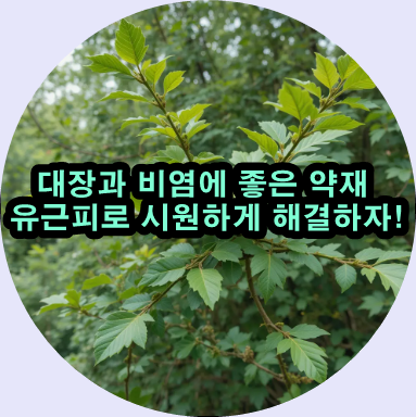  유근피의 비밀을 파헤쳐 보자!