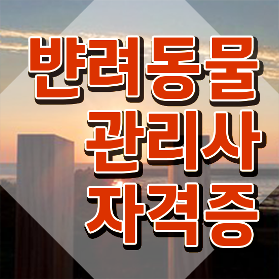  반려동물종합관리사 , 반려동물관리사 자격증 준비한 과정 확인하기