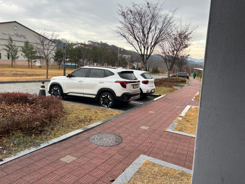 사진 4
