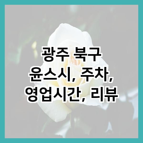윤스시 사진 2