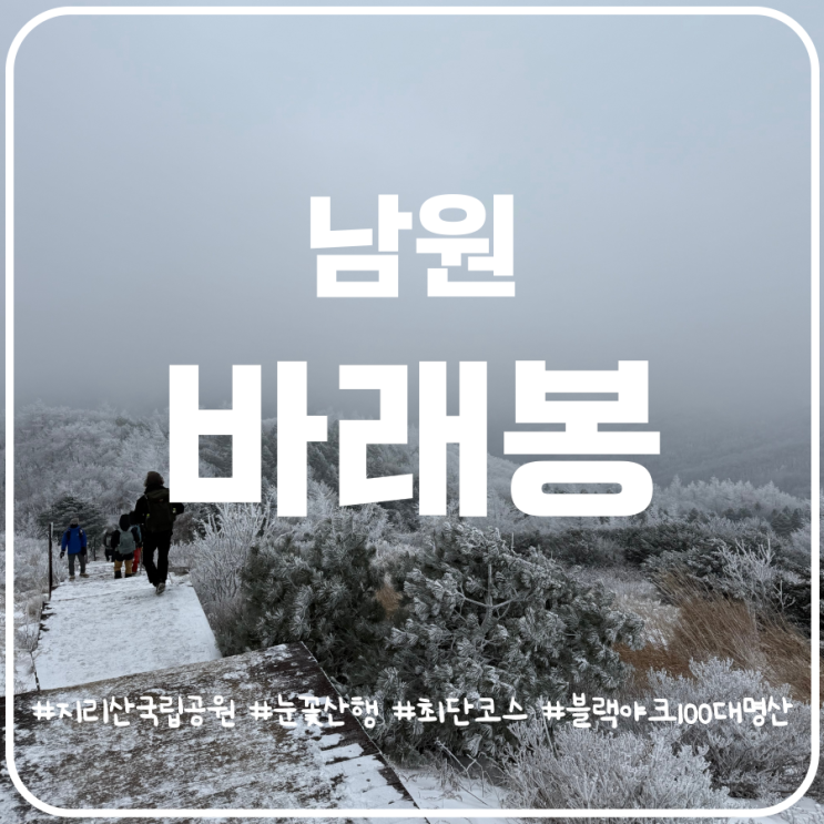 겨울산행지 추천 지리산 바래봉 최단코스 바래봉 눈꽃산행 겨울산행지 추천 지리산 바래봉 최단코스 바래봉 눈꽃산행