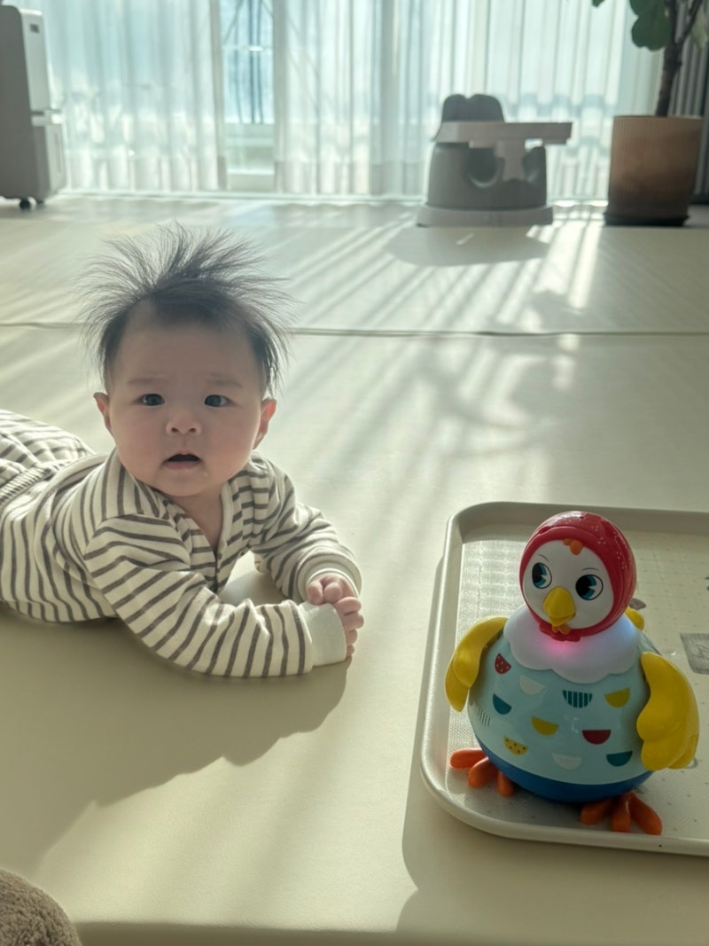 4개월 아기 예방접종 수면교육 장난감 : 네이버 블로그