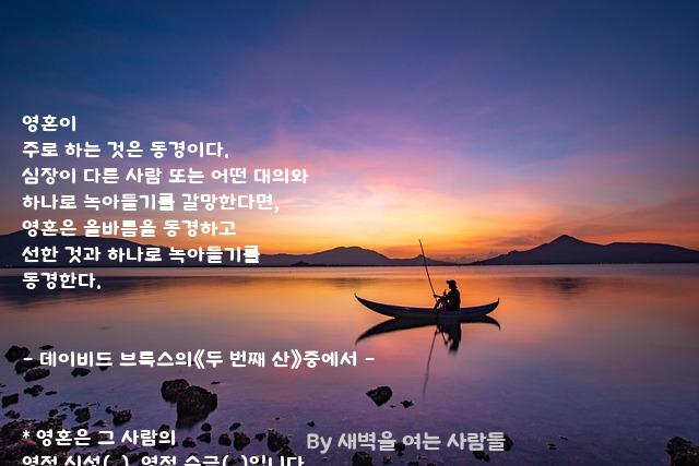 영혼 영혼