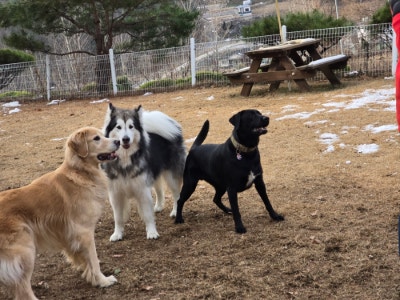 사진 3