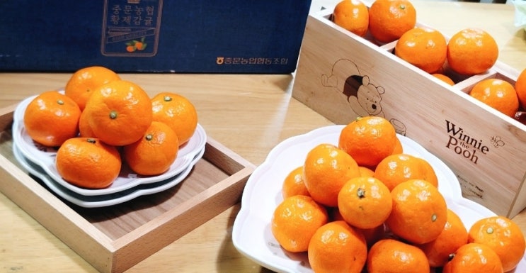  황제감귤, 새콤달콤의 끝판왕!