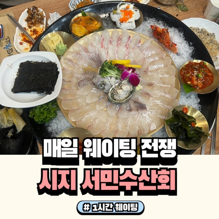  시지 경산 회맛집 시민수산회 맛있대서 너무 기대했나봐요
