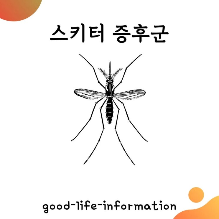 스키터 증후군이란? 아이유의 사례로 알아보는 과민반응의 모든 것 스키터 증후군이란? 아이유의 사례로 알아보는 과민반응의 모든 것