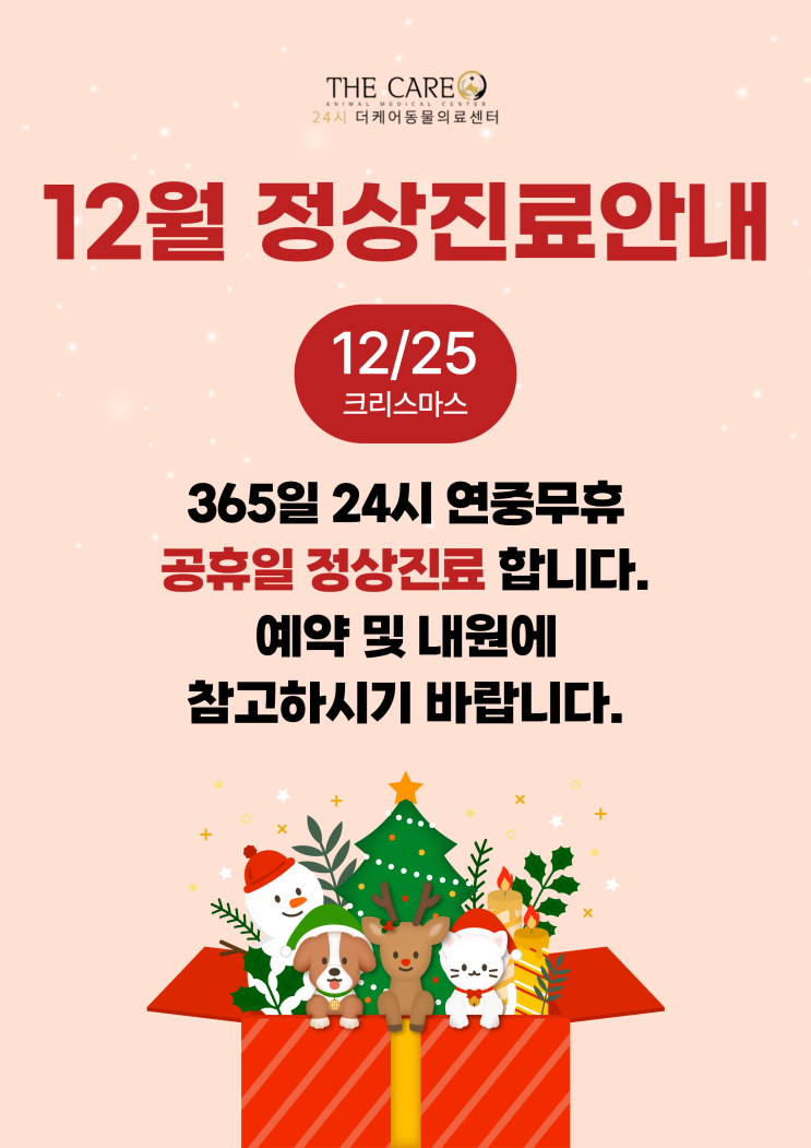  12/25 크리스마스 진료 가능한 동물병원, 24시 더케어 동물의료센터