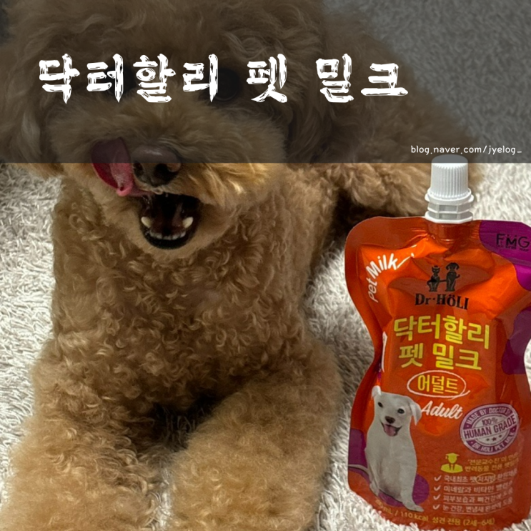  펫밀크 추천 기호성 좋은 [닥터할리 펫밀크 어덜트]