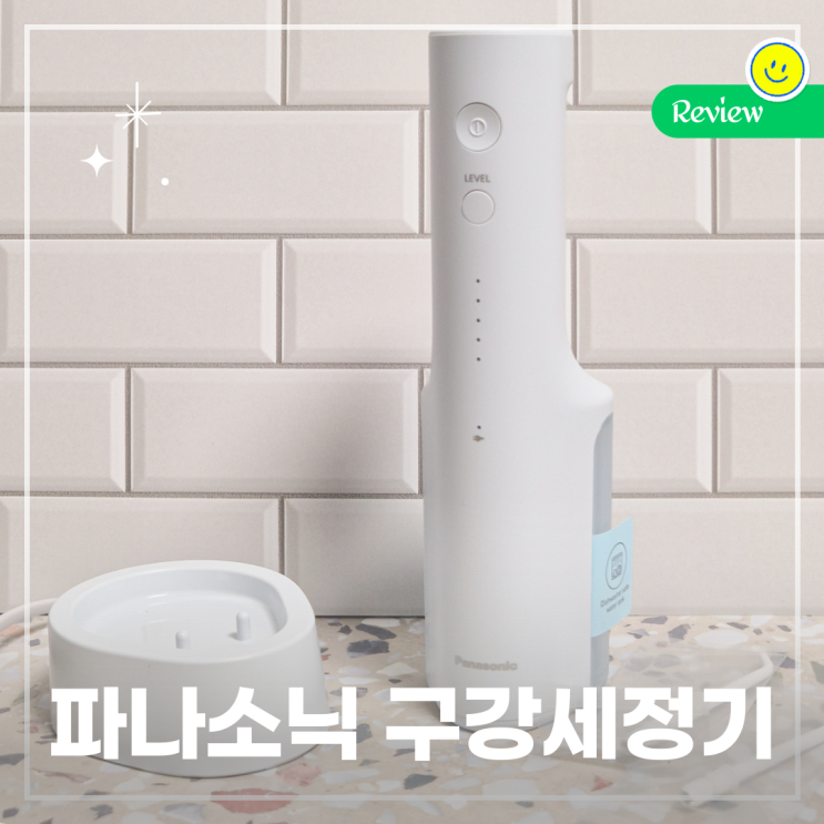  스케일링과 함께 치아 관리, 파나소닉 EW-DJ26 구강세정기 추천