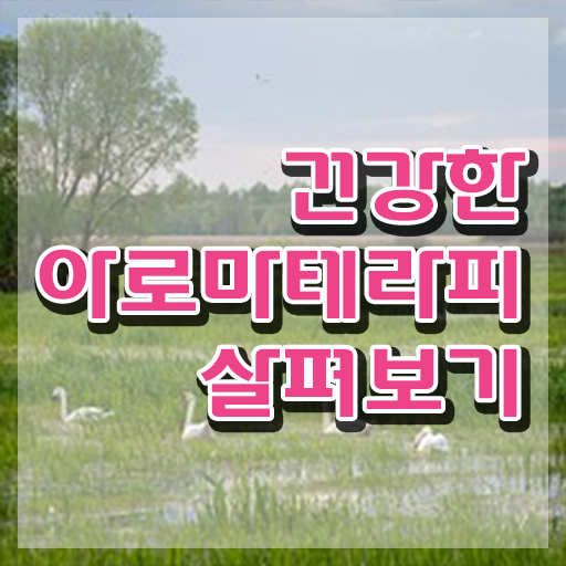  아로마뷰티diy지도사 추천 , 아로마뷰티DIY지도사 자격증 15일 만에 합격한 비법 및 향후 전망