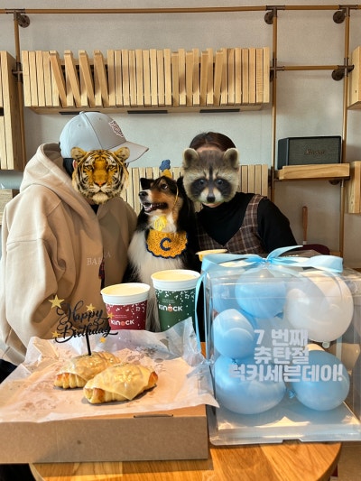 사진 9