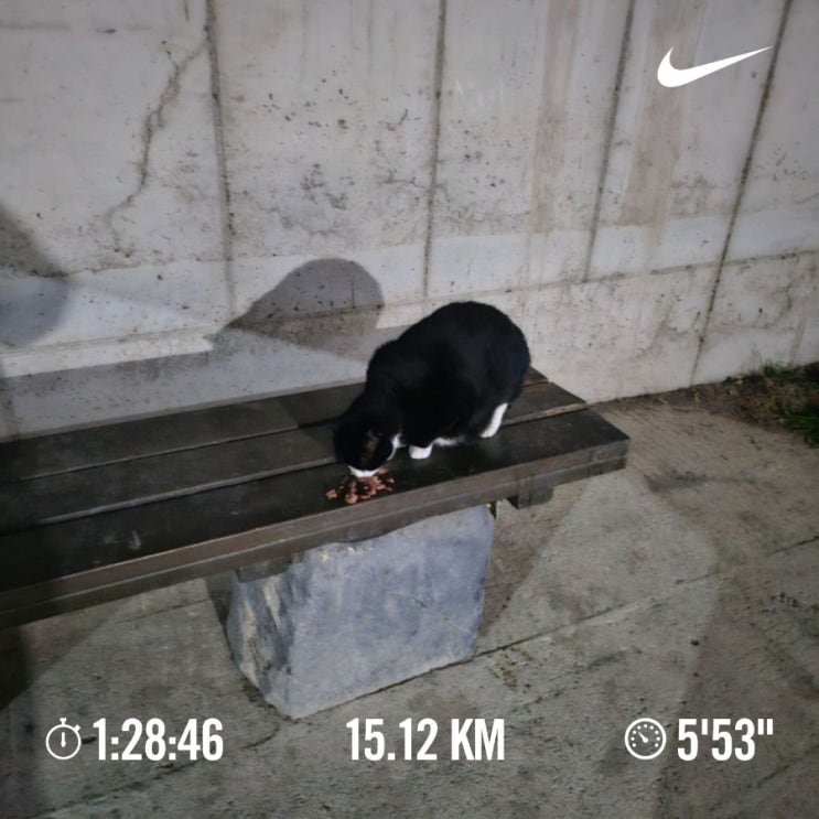 오늘의 [챌린지] 매일 10km 러닝 챌린지 1228일 차