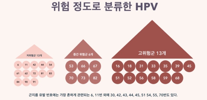 자궁경부암 검사 결과 및 조직검사까지의 과정